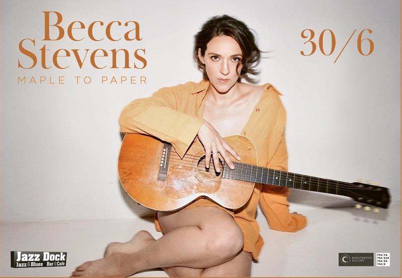 Becca Stevens (USA) - preview image